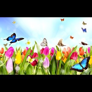 Meet your Posher, Nastiashia